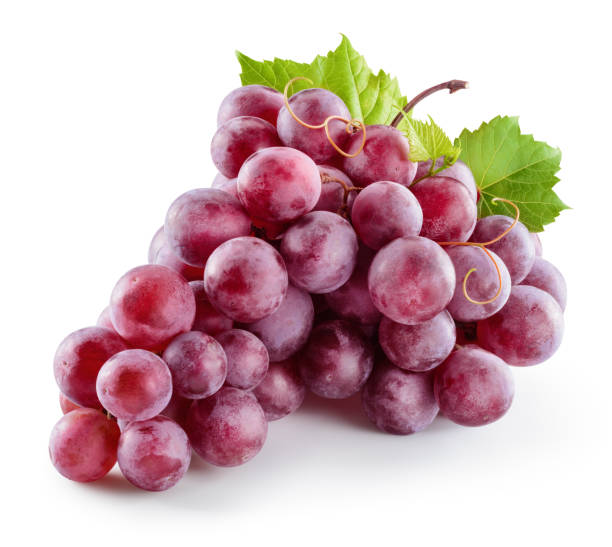 Grape Seed Oil